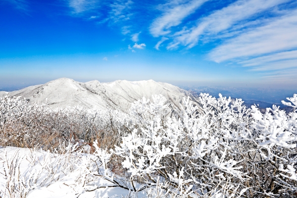 ▲겨울설경 왕국 ‘영주 소백산국립공원’(사진제공=경북관광공사)