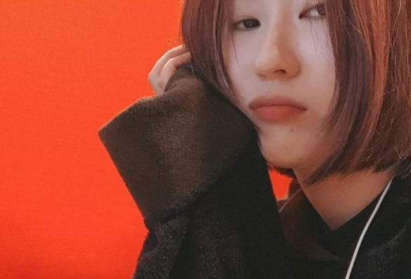 요아리 SNS