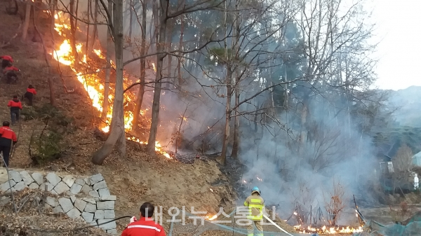 ▲대구 동구 능성동 도학사 주변에 산불이 발생했다.(사진=대구소방본부)