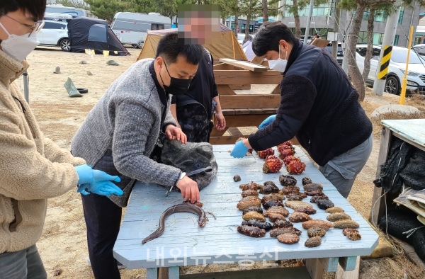 단속 채증 현장 (사진제공=속초해경)