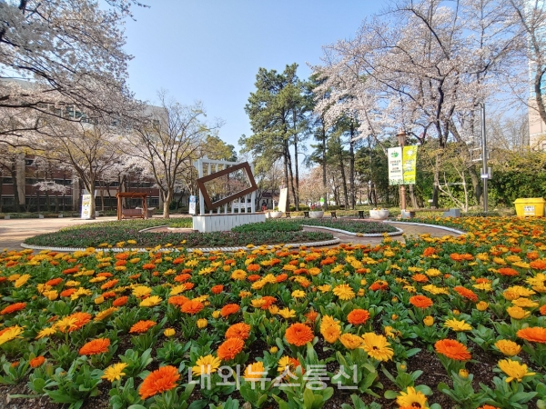 ▲ 대구 도심 공원 봄 꽃이 가득한 모습 ( 사진 = 대구시설공단 )