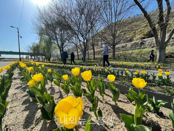 (사진제공=성동구청)