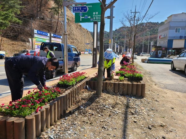 사진=평창군 용평면