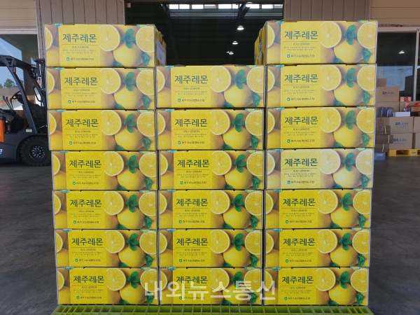 제주도 농업기술원 동부농업기술센터는 제주산 레몬이 국내에서 처음으로 홍콩 수출길에 올랐다고 21일 밝혔다./사진제공=제주특별자치도