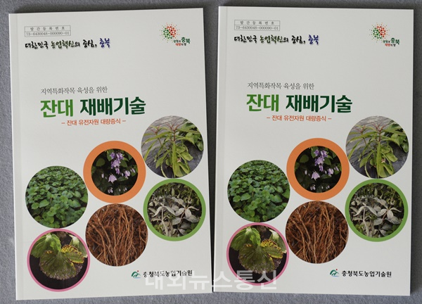 충북농기원, 잔대 재배 성공을 위한 ‘기술서’ 발간 (사진=충북농업기술원 제공)