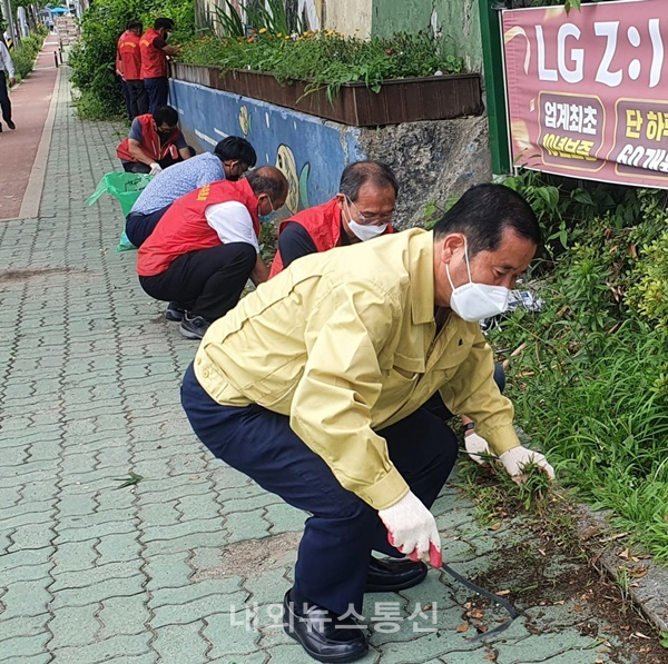 잡초 제거 하는 봉사왕 광주남구의회 박용화의원(사진제공=광주남구의회)