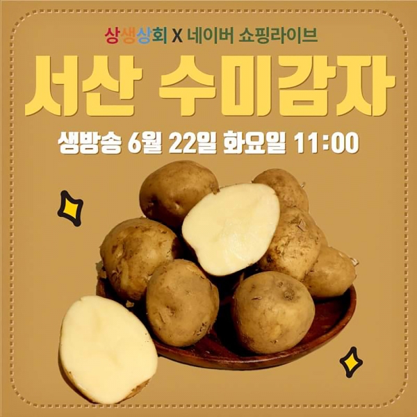 서산 팔봉산감자·6쪽마늘 라이브커머스 실시간 판매 < 대전·세종·충남 < 전국 < 기사본문 - 내외뉴스통신 서산 팔봉산감자·6쪽마늘... 