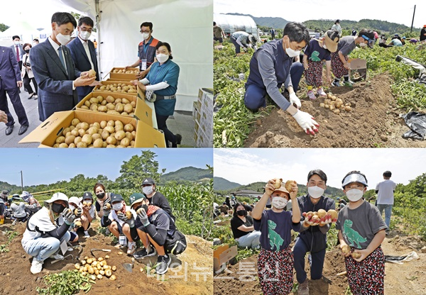 ▲지난 18∼20일, 괴산군 감물면농촌중심지활성화센터에서 열린 제10회 감물감자축제 (사진=괴산군)