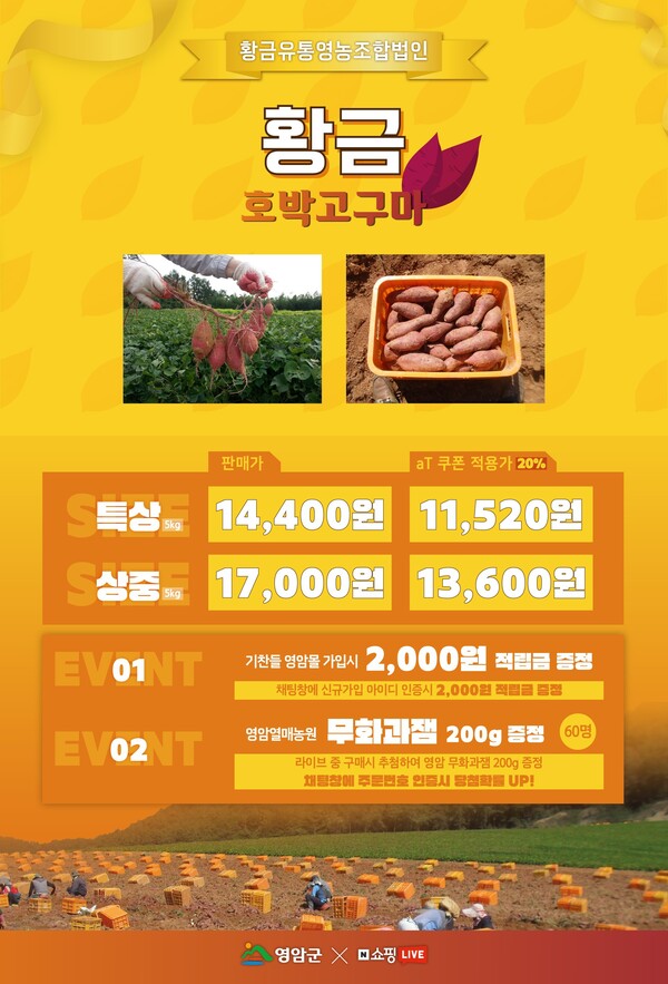 영암군, 캠핑장에서 구워 먹는 군고구마 라이브커머스 실시 < 광주·전남 < 전국 < 기사본문 - 내외뉴스통신 영암군, 캠핑장에서 구워 먹는... 