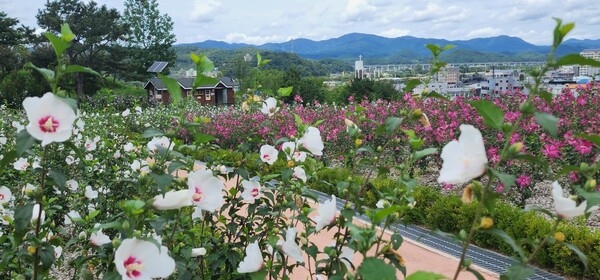 장성 무궁화공원(사진제공 : 산림청)