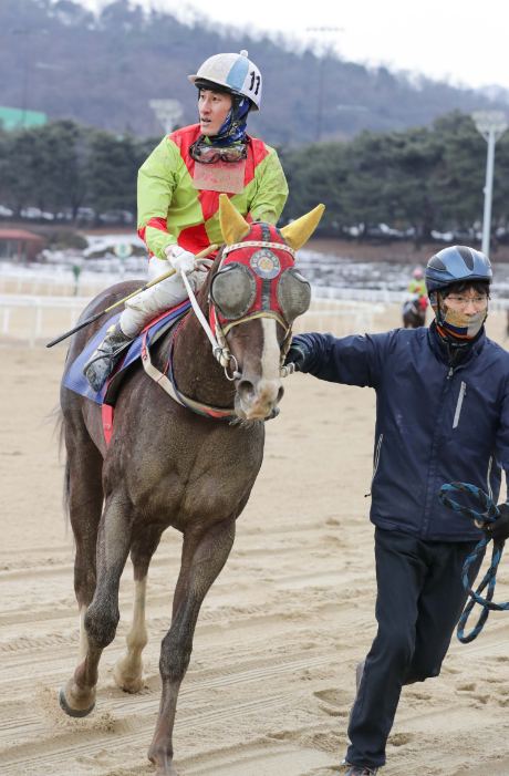 기수 각각 300승 돌파 < 스포츠 < 연예·스포츠 < 기사본문 - 내외뉴스통신 페어플레이어 송재철 기수, 과천 아이돌 김동수 기수 각각 300승 돌파