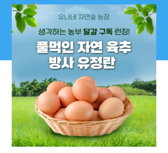 유정란 생산자 유나네농원 김성중고문, 명품계란을 아십니까 < 소비자... 유정란 생산자 유나네농원 김성중고문, 명품계란을 아십니까