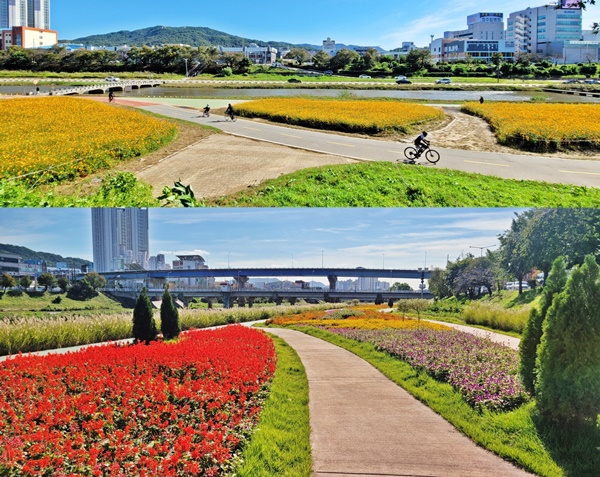청주시 4곳 꽃정원, 만개한 꽃들로 장관!! < 충북 < 전국 < 기사본문 - 내외뉴스통신 청주시 4곳 꽃정원, 만개한 꽃들로 장관!!
