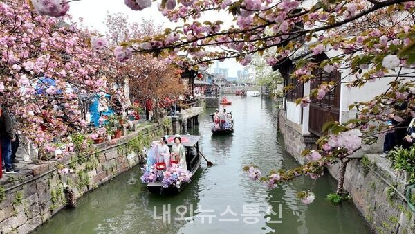 [사진] 풍잠 기원하는 中 '누에 아가씨'