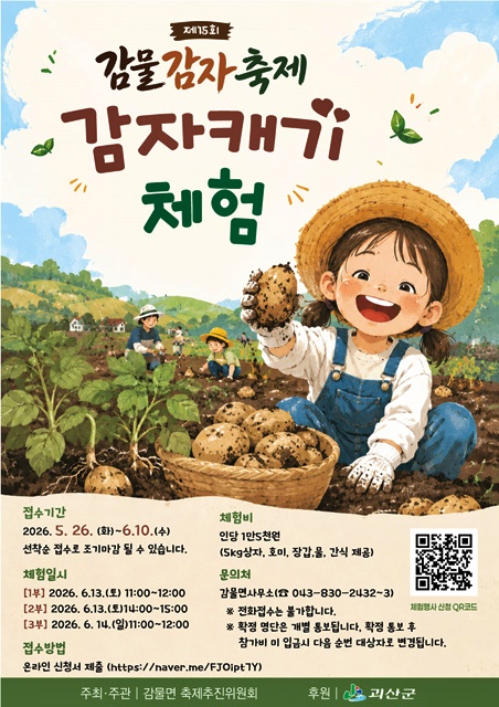 감물감자축제
