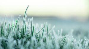 예비소집일 영하권 아침과 큰 일교차