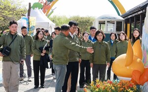 함평군 나비대축제 개막 전 현장 점검